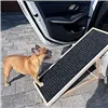 Dog ramp Springos DR0001