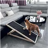 Dog ramp Springos DR0001