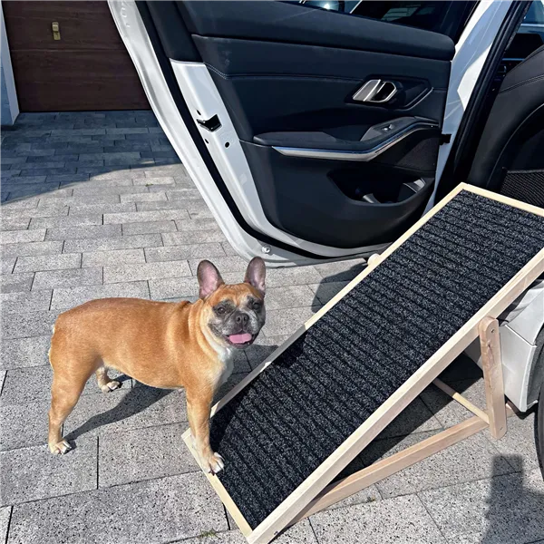 Dog ramp Springos DR0001