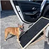 Dog ramp Springos DR0001