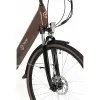 Elektrinis dviratis Youin YOURIDE VIENA Kava 250 W 28"