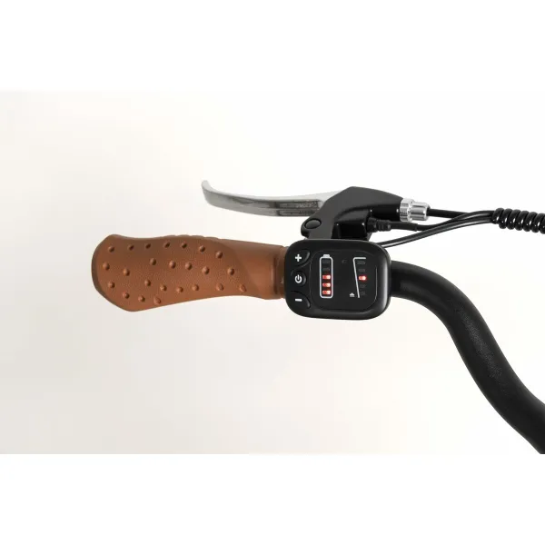 Elektrinis dviratis Youin YOURIDE VIENA Kava 250 W 28"