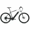 Elektrinis dviratis Youin BK3000 EVEREST 250 W 29" Juoda