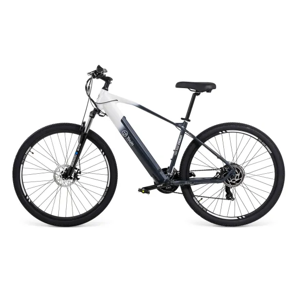 Elektrinis dviratis Youin BK3000 EVEREST 250 W 29" Juoda