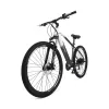 Elektrinis dviratis Youin BK3000 EVEREST 250 W 29" Juoda