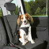 Koera rakmed Trixie Comfort Must S/M Auto