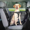 Apima automobilius Trixie