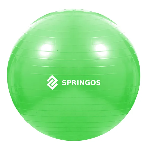 Exercise ball with pump Springos FB0007 65cm