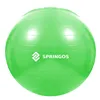 Exercise ball with pump Springos FB0007 65cm