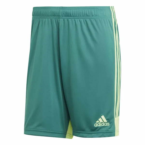 Vyriški sportiniai šortai Adidas TASTIGO19 SHO Žalia