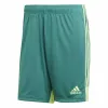 Vyriški sportiniai šortai Adidas TASTIGO19 SHO Žalia