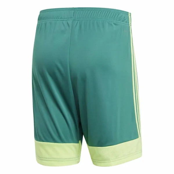 Vyriški sportiniai šortai Adidas TASTIGO19 SHO Žalia