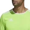 Vyriški marškinėliai su trumpomis rankovėmis Adidas Entrada 80