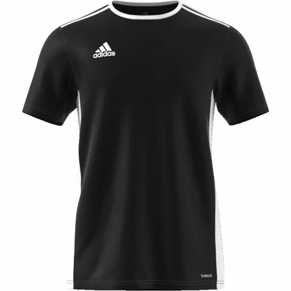 Sportiniai marškinėliai su trumpomis rankovėmis, vyriški Adidas CF1035 XL