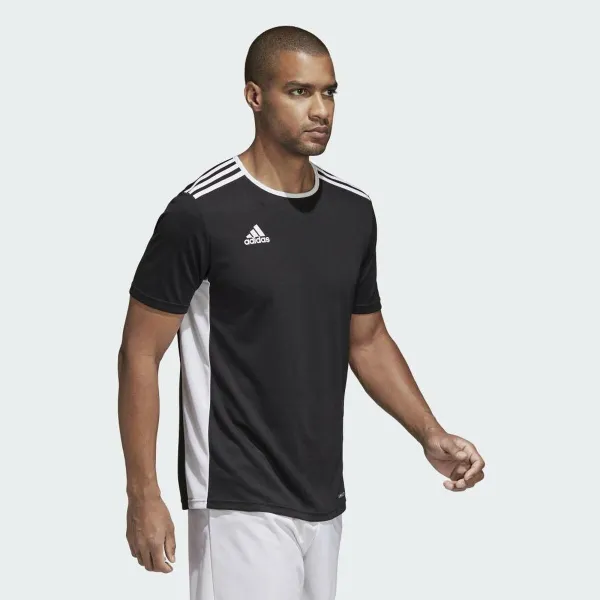 Sportiniai marškinėliai su trumpomis rankovėmis, vyriški Adidas CF1035 XL
