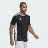 Sportiniai marškinėliai su trumpomis rankovėmis, vyriški Adidas CF1035 XL