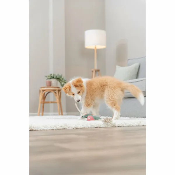 Soft toy for dogs Trixie