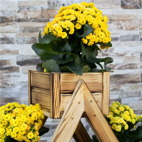 Wooden flower stand Springos KWD001