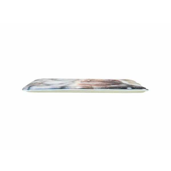 Tarpaulin Springos GA2139 6x8m 210g/m2