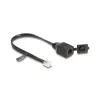 USB Kabelis DELOCK 88009 Melns 20 cm (1 gb.)