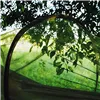 Hammock with mosquito net Springos GA0023