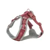 Koera rakmed Trixie Premium FlexMesh M