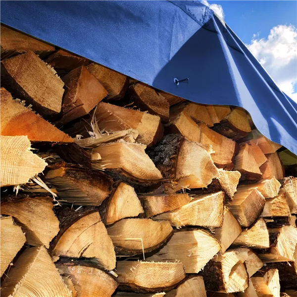 Brezentas Springos GA2117 4x6 m 60g/m2 | Pirkti internetu — Megaluks