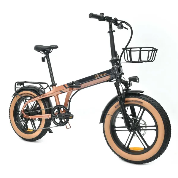 Elektrinis dviratis Youin BK1650 DALLAS Juoda Kava 250 W 20"