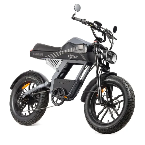 Sähköpyörä Youin BK7100 LAS VEGAS 250 W 20"