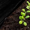 Agrotekstils pret nezālēm Springos AG0021 50g/m2 1,6x10 m