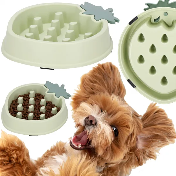 Slow eating bowl for dogs Springos PA0301