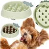 Slow eating bowl for dogs Springos PA0301