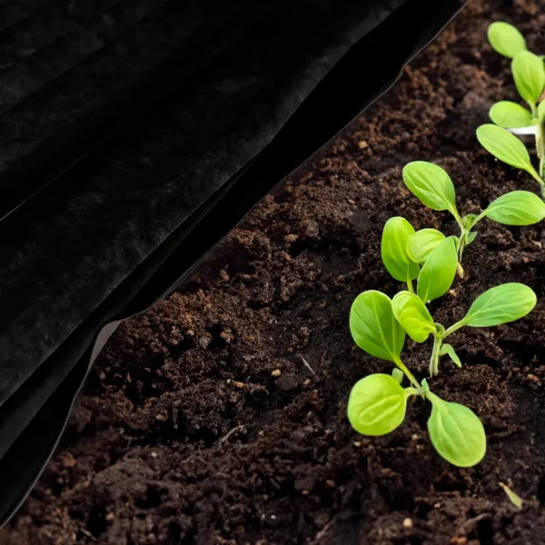 Agrotekstiili rikkaruohoja vastaan Springos AG0023 50g/m2 3,2x10 m