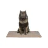 Matt Trixie Pruun 80 × 60 cm Koer