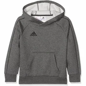Vaikiškas megztinis Adidas HOODY Y CV3429 Pilka