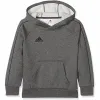 Vaikiškas megztinis Adidas HOODY Y CV3429 Pilka