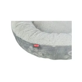 Pop up -teltta Springos PT026 120 x 120 x 190 c | Osta verkosta — Megaluks