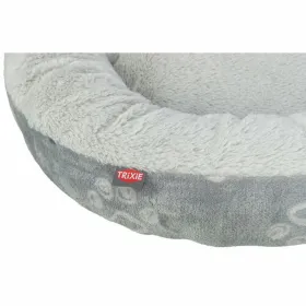 Pop up -teltta Springos PT026 120 x 120 x 190 c | Osta verkosta — Megaluks