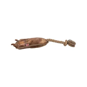 Kate 14FT batuudile Springos TP-14FT 426 CM SININE | Osta veebist — Megaluks