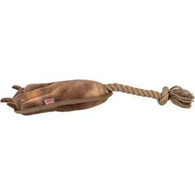 Kate 14FT batuudile Springos TP-14FT 426 CM SININE | Osta veebist — Megaluks