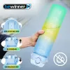 Water bottle Bewinner Multicolour 600 ml 7,5 X 20 CM (12 Units)