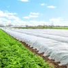 Winter agrotextile Springos AG0002 70g/m2 50x1,6m white