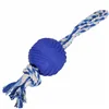 Dog toy Springos PA0274