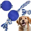 Dog toy Springos PA0274