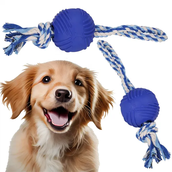 Dog toy Springos PA0274