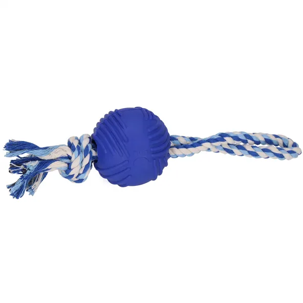 Dog toy Springos PA0274