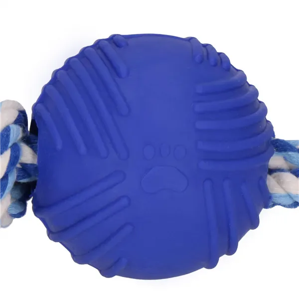 Dog toy Springos PA0274