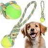 Dog toy Springos PA0276