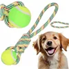 Dog toy Springos PA0276