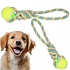 Dog toy Springos PA0276